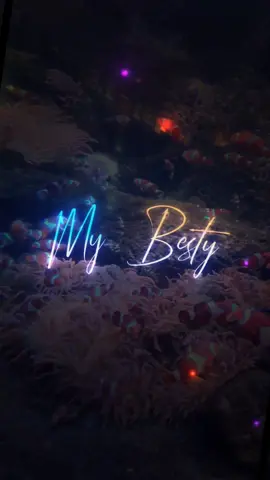 #CapCut #mybestie #mybestieandyourbestie #efectos #letradecanciones #lyrics_songs #aprendercantando #aprenderingles #inglesfacil #inglesespañol #spaenglish #parati #musicaparastatus #musicaparaestados #musicaparadedicar #learnenglish #englishsong #englishsongs #englishlyrics #viral #xcyzba #xybca #pti #peruanoseneuropa #latinoseneuropa #latinosenusa 