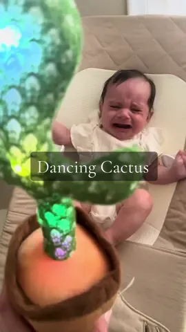 Get your baby to stop crying with the Dancing cactus. #dancingcactus🌵🌵🌵❤️❤️❤️ #dancingcactus #babytok #cactustoy #babyreaction 