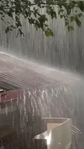 Heavy Rain With Thunder 1 minute at Night  #rain #rainforsleep #rainvideos #unitedstatesofamerica🇺🇸 #rainvideo #rainyday #rainasmr #ASMR #asmrsounds #rainsound #rainsounds #thunderstorm #relaxingvideos #rainforsleeping #unitedstates #unitedkingdom #america 