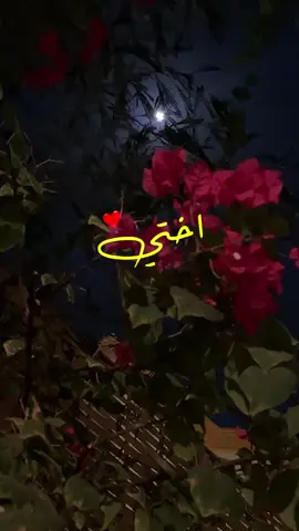 اللّهم قلب أختـــ♡︎ــــي ٠٠ آحتضنه يالله وآزل عنه التعب وآحفظهـآ ‏فإني أحبها بحجم رحمتك ٠٠🥺♥️                                     #اختي_حياتي #اختي_حبيبتي_وضي_عيوني #اللهم_احفظ_لي_اختي♥️ #اللهم_شفاء_لا_يغادر_سقما✨ #يارب #دعاء_يريح_القلوب #يارب_دعوتك_فأستجب_لي_دعائي #يارب_فوضت_امري_اليك #اللهم_امين #تصميم #تصميمي #تصويري #تصميم_فيديوهات🎶🎤🎬 #foryou #fypシ 