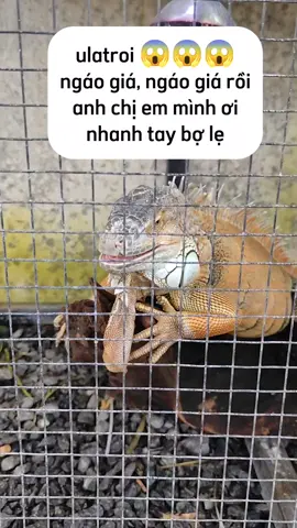 #xuhuong #thinhhanh #treding #viral 