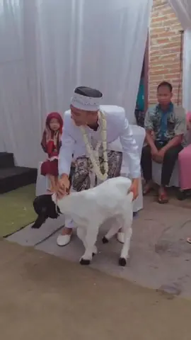 calon mobil 🤣🤣🤣🤣 