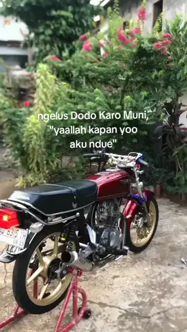 #gl #gl100 #pandawa5 #trending #foryoupage #fyp #xyzbca #viral 