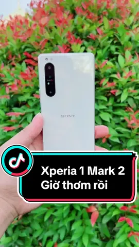 Sony vẫn là cái gì đó rất tín ae ạ: Xperia 1 Mark 2 giờ giá đã quá thơm rồi ae ạ: - Màn 4k tỉ lệ 21:9 của rạp chiếu phim - Chống nước cực đỉnh gia truyền - Không lo sọc màn như 5 mark 2 #xuhuong #sony #xperia #sonyxperia #sonyx1ii #x1mark2 #sonyx1mark2 