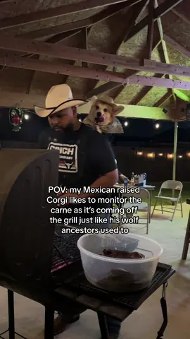He takes his role of carne asada quality assurance very seriously😂 #dogsoftiktok #doglife #doglove #foryou #perrostiktok #perritostiktokers 