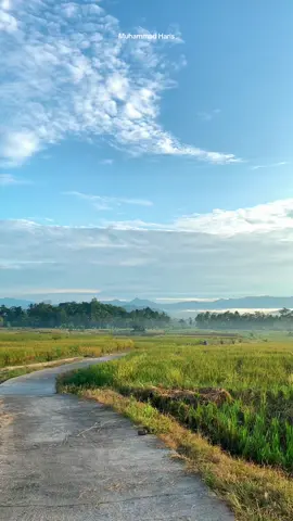 View pemandangan sawah depan bawah gunung tanggamus pagi hari #fyp #fypシ゚viral #masukberanda #pesonatanggamus #tanggamus #lampung #pikniklampung #wonderfulindonesia🇮🇩 