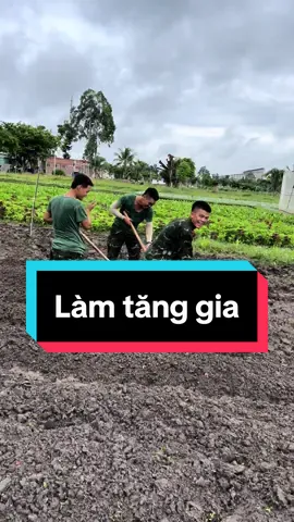 Các chú làm luống trồng rau#sudoan5tayninh #xuhuong #bodoi #chiensicu 