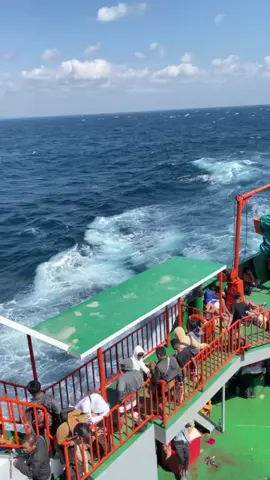 pukuafu agak ngamuk😬🥲🤣#fyp #nttpride🏝🔥 #pukuafu😎🏝️ #rote  #roteisland🌴 #kupang #fyppppppppppppppppppppppp 