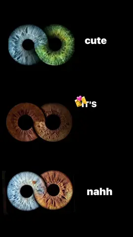 Brown and brown🤎.             #fyp #foryou #fy #global #bestduo #browneyes #viral #goviral #color #couple #eyes #goals #brown 