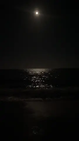 One minute of beach at night your welcome!#PCB 