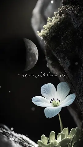 فيا رباه عبد تائب من ذا سيؤويني #لا_اله_الا_الله #محمد_رسول_الله #صلى_الله_عليه_وسلم #اناشيد_متنوعة #اناشيد_بدون_موسيقى #فيا_رباه_عبدُ_تائبُ_من_ذا_سيؤويني 