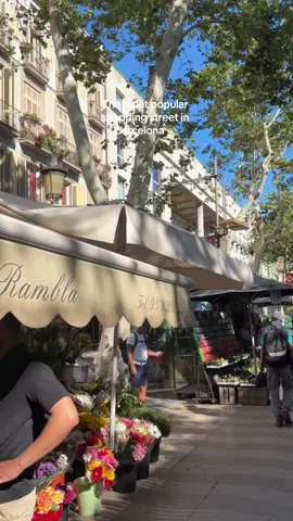 The most popular shopping street in Barcelona 💫 #barcelona #parati #fy #barcelonacitytour #barcelonaguide #barcelonatiktok #barcelonatoday #barcelonaweather #Summer #shopping #larambla 