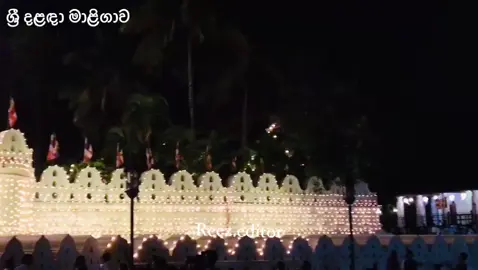 #kandycity #CapCut #Reezboy #track ශ්‍රී දළඳා මාළිගාව 💝🙏🏻