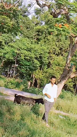 ওয়াদা 🖐️#bdtiktokofficial🇧🇩 #Foryou #fypシ゚viral #tiktok #sujanagor #foryoupage 