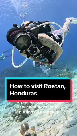 All ya need to know for an epic dive trip to Roatan! 🤿🐠💦 #divetravel #divetrip #scuba #scubatiktok #roatan #bucketlisttravel #downto60 #scubadivingwithkenny 