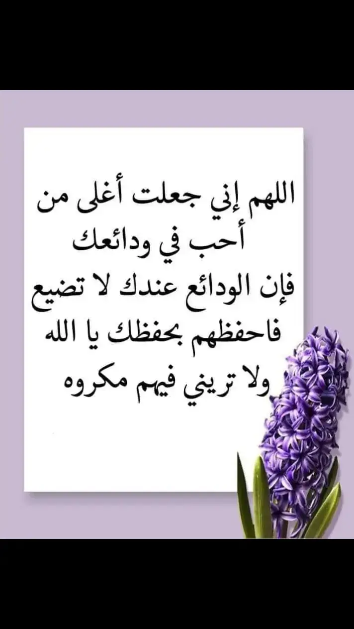 #ايمي *💜* خواطر من القلب 💜 إلي القلب 💜  اللهم اني استودعتك أحبتي فاحفظهم بعينك التي لا تغفل ولا تنام يارب ♥️ العالمين 🤲