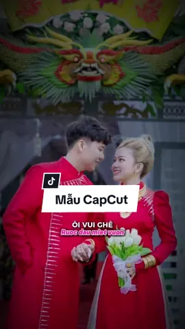 Rước Dâu Miệt Vườn #nhachaymoingay #nhaccuoi #mientayquetoi #xh #CapCut #ruocdaumietvuon 