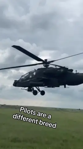 Hawk tuah! #hawktuah #miltok #military #militaryhumor #army #m2a3 #bradley #ah64 #apache #armyaviation #armylife #militarylife 