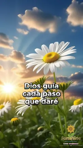 #CapCut #capcutmotivacional #buenosdias #felizsabado #bendecidosabado #amanecer #graciasDios #guárdanosdetodomal #amen🙏 #bendiciones #fyp #viral #paratii #paratipage #fypシ゚viral #foryoupage #tiktok 