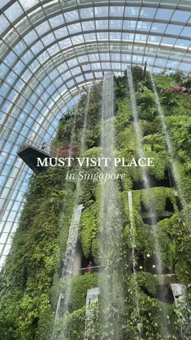📍Cloud Forest, Singapore #cloudforest #gardensbythebay #marinabaysands #visitsingapore #singaporetravel #singaporetrip 