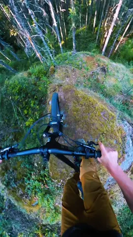 That tree on the right was close! #mtb #bike #insta360 