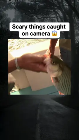 Scary things caught on camera 😱 #scary 