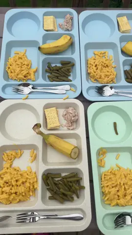 #DaycareLunch Feeding kids is a hard job 😌 #daycareprovider #inhomedaycare #daycarelife #mealideas #tuna #lunch #lunchideas #kidslunch #lunchtime #daycarechronicles101 #familychildcare #daycare #jessicajordan44