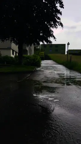 أشوفٌ وجهك بكل شي🥺🦋 .. …. #viral #fypシ #tulip19_ #تصميمي #بدون_موسيقى #fyp #غيث_صباح #شوارع_فارغه 