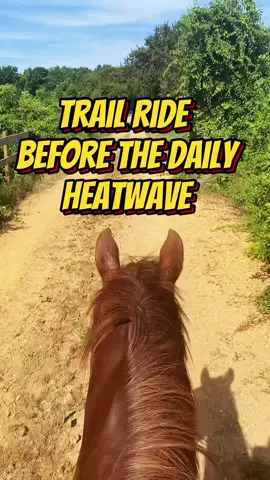 It’s literally 90 degrees by 11am 🥵 #fypage #foryoupage #horsesoftiktok #horsetok #horses #horselife #rodeohorse #horsespeed #barrelracing #quarterhorse #trailriding #Vlog #heatwave #🥵 