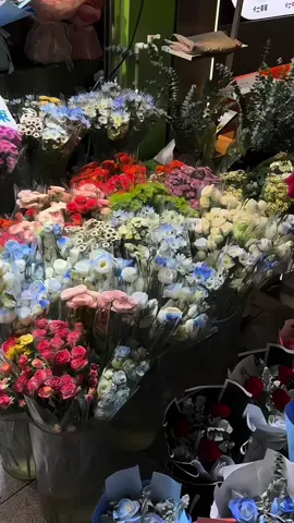 Vì mình tin, chỉ cần mình dịu dàng với thế giới thì thế giới sẽ tặng lại cho mình những điều tốt đẹp. Đôi khi nó không đến ngay, nhưng nhất định nó sẽ đến.#fypシ #yeuhoa #flowers #trendflower #hoaxinh #hwadestudio 