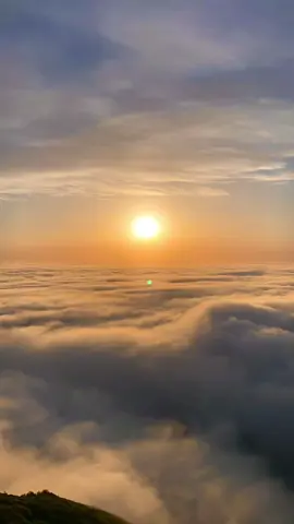 #بدون_موسيقى @بدون موسيقى 