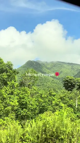 the best experience!!😭 10/10 #elyunquerainforest #thingstodoinpuertorico #puertorico #caribbeantiktok #solotravel #elyunque 