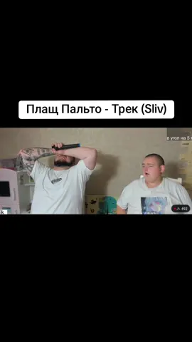 Плащ Пальто (слив від Паніно) #паніні #трек #караоке #плащ 