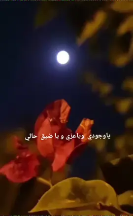 يسعد مساكم بكل خير ❤️ ❤️ 