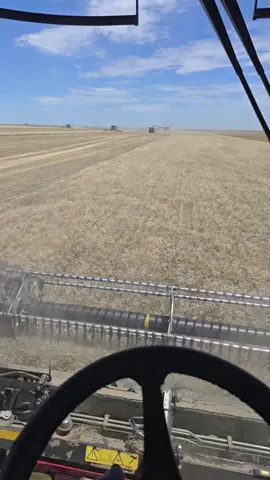 #saffasabroad #h2aalltheway #fypシ #h2a #combine #wheat #kansas 