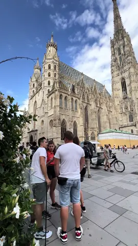 VIENNA IS The most beautiful city in the world. Vienna Travel Guide. Vienna things to do. Vienna places to Visit. Vienna Stephansplatz. Vienna Stephansdom. #wien #vienna #stephansplatz #thingstodo #PlacesToVisit #fyp #foryou 