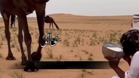 #ممسيتو_بالخير#قصايد_شعر_خواطر#كسبلور_explor#لاهنتم#foryoupageofficiall 