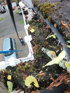 Gutter vac back in action! #gutterclearing #guttercleaning #exteriorcleaning #beforeandafter #transformation #results #satisfying #clean #CleanTok #cleaningtiktok #viral #trending #fyp #fypシ #foryoupage 