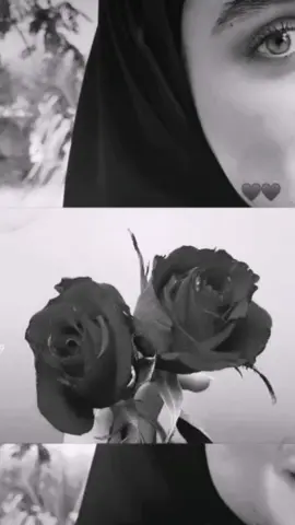#حسام_الرسام #شايب #تكلي 