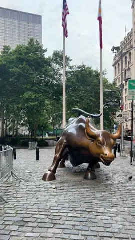 Wall Street Bull 🐂 . . . . . . #toronyc #manhattan #wallstreetbull #summernyc #fypシ 