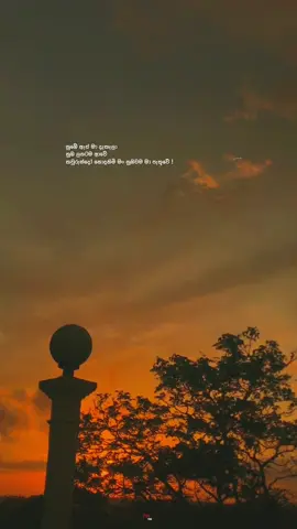 Wait for drop !💕” Numbe as ma dakala (slowed) #fyyyyyyyyyyyyyyyy #100k #For_you #newsong #fyp #fypage #fypシ゚viral #sinhalaquotes #quotes #tiktok #dropedit #pageforyou #dropeditsinhala #sinhla_status_❤️💫 #slowedandreverb #newtrend #sinhalasong #numbeasmadakala #trending #trendingsong #srilanka #tik_tok #fyyyyyyyyyyyyyyyy #100k #arush 