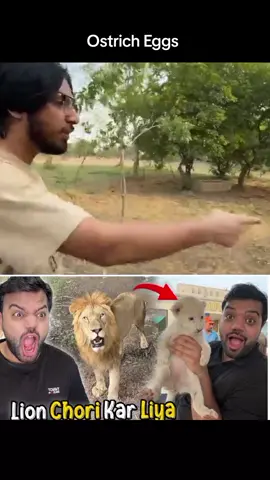 #duckybhai #vlogs #babaop #ostrich 