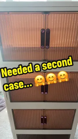 This is getting out of hand 🤣🤣🤣😍😍😍 #leego #storage #storagehacks #glazes #perfumestorage #glaze #tiktokshopping #tiktok 