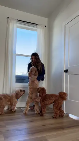 SATURDAY MORNING VLOG + DOGSITTING 🫶🏼 #dayinmylife #dayinmylifevlog #makeup #Vlog #morningvlog #morninginmylife 