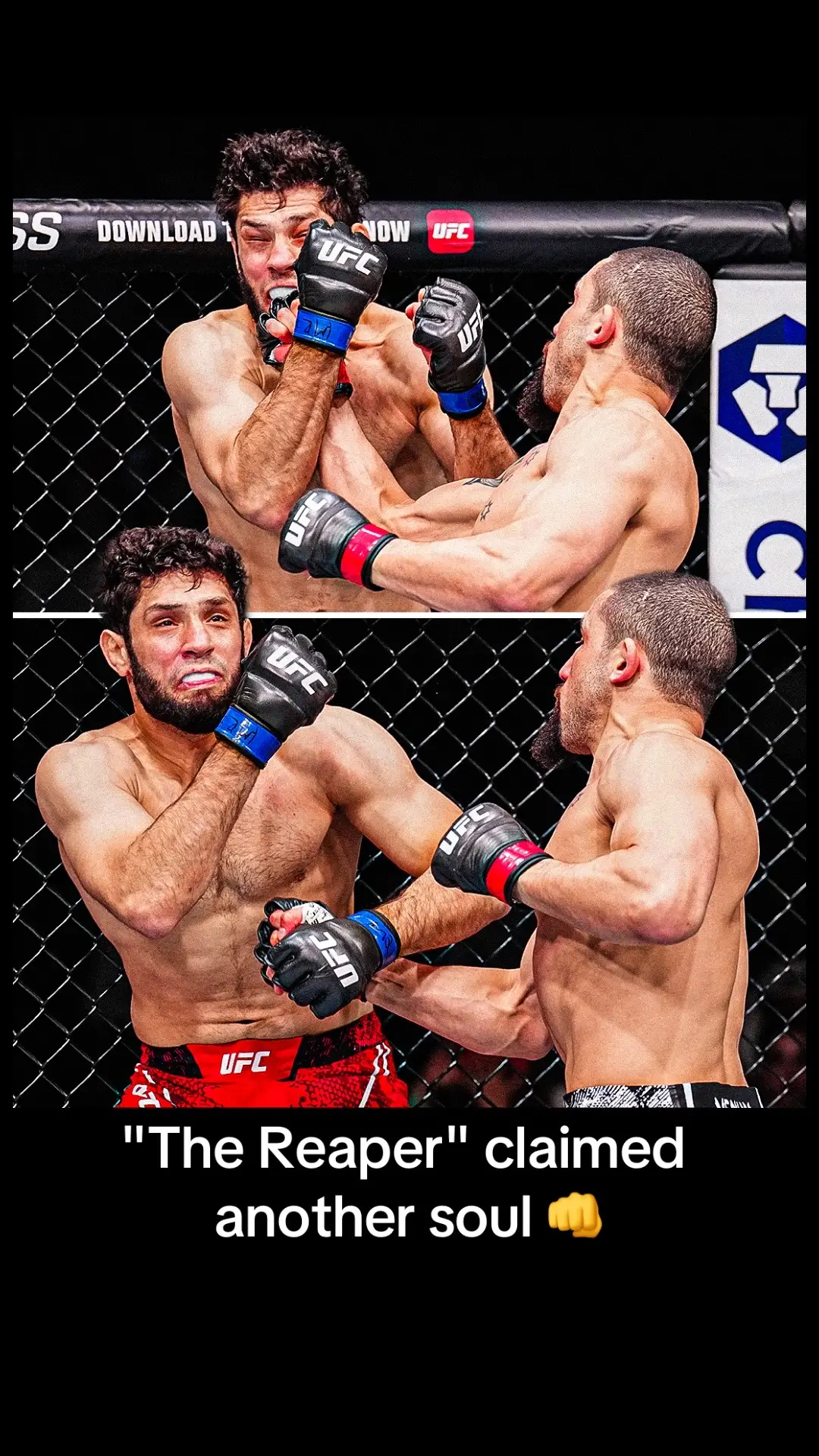 #robertwhittaker #UFC #knockout #ufcsaudiarabia