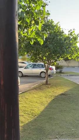 Ele faz milagre @realme brasil  #realme #realme12Series5G #realme125G #SmartphoneGamer