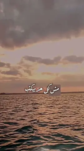 مش كل حد بيكتب حاجه علي صفحته هدفه مش بيوصل رساله لحد #pyfツ #yfpシ #حالات #حزن #فن #اسكبلور_explore #♏🦂 #💜💐 