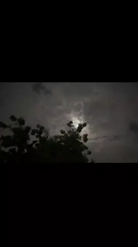 كيف تقسون😔💔؟#اكسبلور #اكسبلور_فولو #explore #foryou #كنت_احسبك_بين_النوايف #لايك #جازان #ابوعريش