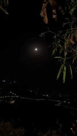 #CapCutامر الله اقوى احبك  #تصميم_فيديوهات🎶🎤🎬تصميمي🔥_استوريات🖇 #اكسبلورexplore❥🕊 #fypシ゚viral🖤tiktok☆♡🦋myvideo❤️ #fypシ゚ #تصاميمي☝🏻🔥 #القمر #احبك 