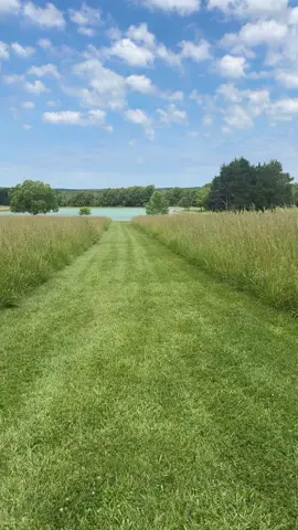 #nature 